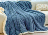 Blue 180*200cm Double Blanket, Taffeta Fleece Blanket, Thick Winter Quilt, Lambswool Coral Fleece V888-ELOSUNG50042