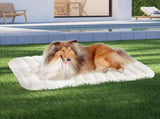 Pawz XL Size Orthopedic Dog Bed with Sherpa Plush Removable Cover in White PT1275-XL-WH
