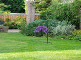 Iron Shepherd Hook with Stable Ground Stake, Heavy Duty Light Hanging Hook for Yard and Garden V1369-AZ3-W-21456