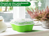 Petluno 4 pieces seedling pots with lids, 16 cm seedling pot BPA-free healthy hydroponic growing pot V1259-DP01-A-1646