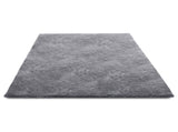 Indoor Plush Area Rugs, 2.44 x 3.05m Soft Plush Carpet, Furry Shag Area Rugs for Living Room, V952-JXDDTSM8X10FS61MV001V0