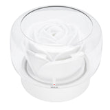 Essential Oil Diffuser Humidifier Quiet Flower Aromatherapy Diffuser with 7 Colors Night Light for V1294-YM0901-3113250004611