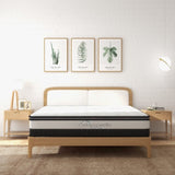 Osteopedic Euro Top Pocket Spring Mattress - King ABM-205009