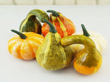 12 Pcs Artificial Pumpkins and Gourds Set, Small Faux Foam Pumpkins Artificial Vegetables for V1188-ZC-LHJ-12