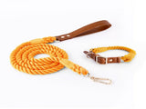 Premium Leather Pet Collar and Leash - Soft, Strong Braided Rope V888-ELOSUNG31274