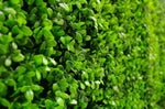 Deluxe Buxus Panels UV Stabilised 1m X 1m V77-1005795