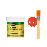 3Pack Tree Wound Sealer & Dressing, 150g Tree Pruning Sealer for Cut, Damaged Bark, Grafting V1107-119-84772-GRN-3PACK