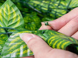Artificial Leafing Roll UV Fade Protected Hedging Wall Landscaping Garden Fence Balcony V1294-YM0717-10135669