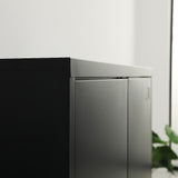 Two-Door Metal Short Cabinet Shelf Storage for Home Office Gym V63-844401