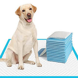 40 pcs 60*60cm Dog Pee Pads Large Puppy Pee Training Pads Super Absorbent & Leak-Proof V1107-135-61664-WHT3