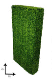 Large Portable Mixed Boxwood Hedge UV Resistant 100cm Long x 200cm High V637-DP1001780
