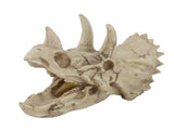 Resin Dinosaur Triceratops Skull Model Simulated Skeleton Home Office Display Decorative Craft V1294-YM0901-JY06511