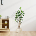 SOGA 150cm Plastic Potted Polyscias Scutellaria Plant Home Garden Artificial Tree, Home Decor APLANTFHJQD150102