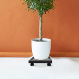 Heavy Duty Plant with Smooth Casters, Grey PP Resin, Perfect for Indoor and Outdoor Use V1192-AZ-W-25071