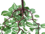 Artificial Hanging / Draping Wandering Jew 42cm V637-DP92782
