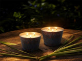 Citronella Candles, Outdoor Large 20oz, Long Burning 100 Hours, 3 Wick Patio & Garden, Perfect V1192-AZ-W-24586