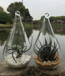 10 Pack of Hanging Clear Glass Tealight Candle Holder Tear Drop Pear Shape - 12cm High - Terrarium V382-TRDRPSMLX10