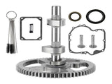 Camshaft Kit for B&S Garden Tractor Riding Mower Camshaft Replacement, ABS Metal material, V1189-LC-QP-00286