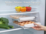 Holder for Fridge, 2-Tier Stackable 40s Organizer Drawer for Refrigerator, Space-Saving V1258-DP02-WO-957