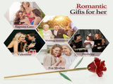 Gold Dipped Rose 24k Red Gold Plated Rose - Everlasting Long Stem Real Rose Exquisite Holder, V1366-AZ2-W-02440