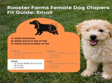 Rooster Farms Female Dog Diapers Small 3Pk - Washable Reusable Nappies Hook/Loop V238-SUPDZ-41365730230352