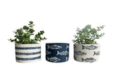 Set 3 Assorted Fish / Stripe Planters w Hole Plug 14cm V637-88742PLN