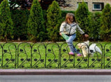 5-Piece Decorative Garden Fence Black Metal Wire Patio V767-XJJ516-BK-G2