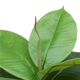 Artificial Potted Rubber Plant 55cm V77-1043058