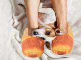 Plush Slippers for Home Superior Comfort and Durability V1369-AZ3-W-18102