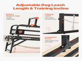 Dog Treadmill for Medium Dogs, 330lbs Weight Capacity, Dog Running Machine with Adjustable Ramps, V952-FDDGGPBJZXQM3V0VLV0