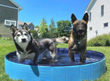 32*8in Foldable Dog Pet Bath Pool Collapsible Dog Pet Pool Bathing Tub Teen Pool Doggie Wading Pool V1107-125-17910-BLU1