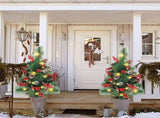 Solar Christmas Tree Garden Stake Lights Outdoor Christmas Tree Lighted Yard Decorations V1294-YM0703-230713TW01-3