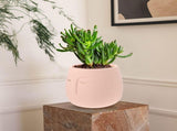 plant pots indoor Flowerpot Ceramics Pink Flower Lovers Table 1Set V1369-AZ3-W-18435