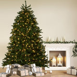 National Tree Company 2.7m Dunhill Shimmer Fir Pre-Lit Christmas Tree 112_NATDU9