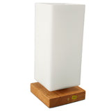 LED Bedside Ambient Light Adjustable Brightness Warm Light Decorative 1600mAh Flower Vase Table Lamp V1294-YM0901-3119230147511