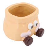 Succulent Pot Resin Cute Decorative Planter with Drainage for Ornament Entryway Key Storage Yellow V1294-YM0901-3111250025111