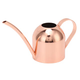 Watering Can for House Bonsai Garden Flower Outdoor Indoor Plants Long Spout Pot Stainless Steel V1294-YM0626-3111220315711