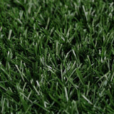 2 Grass Mat 63.5cm x 38cm for Pet Dog Potty Tray Training Toilet V274-PET-MAT-202-X2