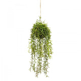 60cm Moss Ball w Senecio Hanging Artificial Plant Flower Fake V563-GF70240
