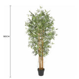 Premium Natural Cane Artificial Bamboo 180cm V637-DP1197668