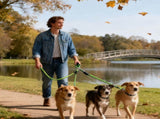 LGCASL 3 Dog Leash No Tangle, Heavy Duty Multiple Dog Lead Shock Absorbing Bungee, Triple Bungee V1189-LWWAL-20260325-02639