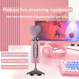 Pink Heart Microphone Set, Cardioid Noise Reduction, Real-time Monitoring One-Touch Mute, Handheld V1232-DRHT-002