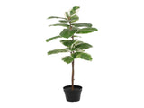 Potted Artificial Variegated Rubber Leaf Tree 118cm V637-84505RUB