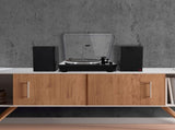 Monster Turntable Speakers DS-MTTT03