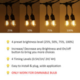 Tomshine Outdoor String Lights Dimmer with Wirelss Remote Control Max Power 240W Adjustable V1294-YM0901-LT018US