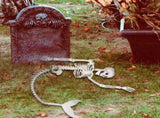 Halloween 31.5 inch Poseable Mermaid Skeleton Prop Haunted Decor V888-ELOSUNG39063