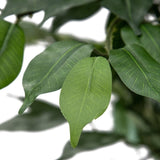Potted Artificial Banyan Tree 120cm V637-05068TRE