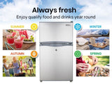 GECKO 95L Portable Upright Fridge, 12V/24V for Motorhome, Caravan, Silver V219-CAPFFRGEKA10S