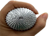 JWDX, 1 Grinding Woodworking Sphere Burr File Wood Carving Spherical Polishing Grinding for V1189-LWWAL-20260325-02193