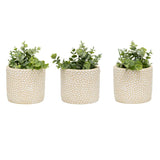 Set 3 Moulded Abstract Planters w Hole Plug 14cm V637-88747PLN